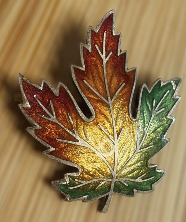 925 Sterling Silver Enamelled Leaf Brooch – 3.56g