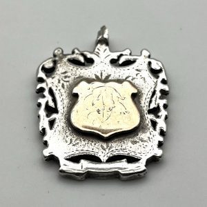 Silver and Gold fob