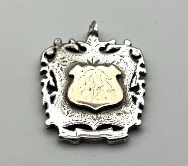 Silver and Gold fob